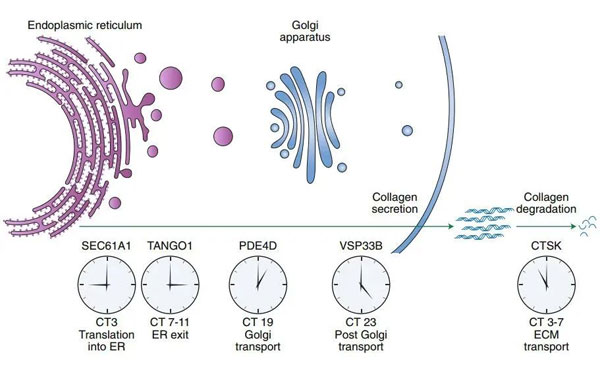 ��ԭ�Ѱ�,������ԭ�Ѱ�,��ԭ�Ѱ���