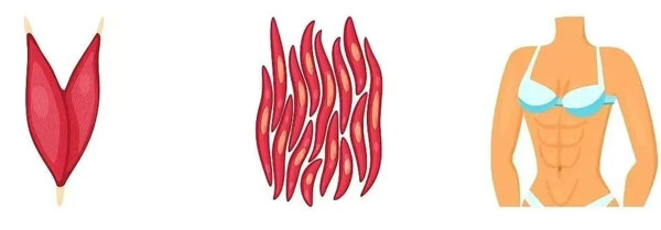 ��ԭ�Ѱ�,������ԭ�Ѱ�,��ԭ�Ѱ���