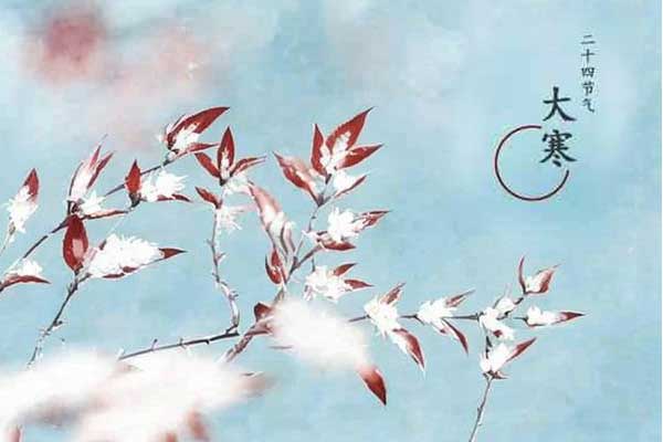 97����-����Ʒ��,Դ������