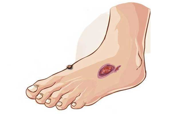 ����������,������,����