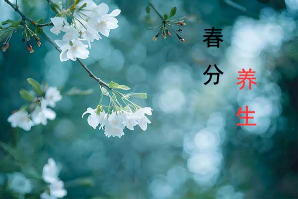 97����-����Ʒ��,Դ������