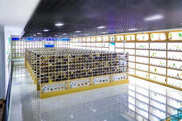 97������ʼ��ſƼ������в�ҩ�걾��