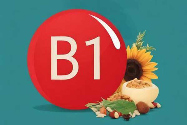 97����-����Ʒ��,Դ������