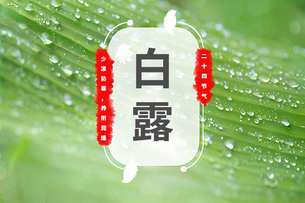 97����-����Ʒ��,Դ������