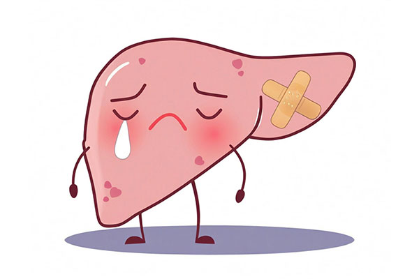 97����-����Ʒ��,Դ������