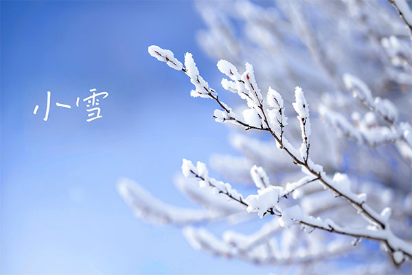 97����-����Ʒ��,Դ������