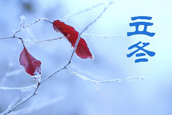 97����-����Ʒ��,Դ������