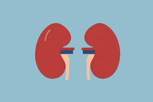 97����-����Ʒ��,Դ������