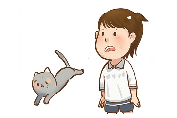 97����-����Ʒ��,Դ������