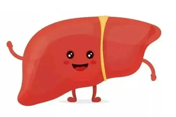 ��������,����