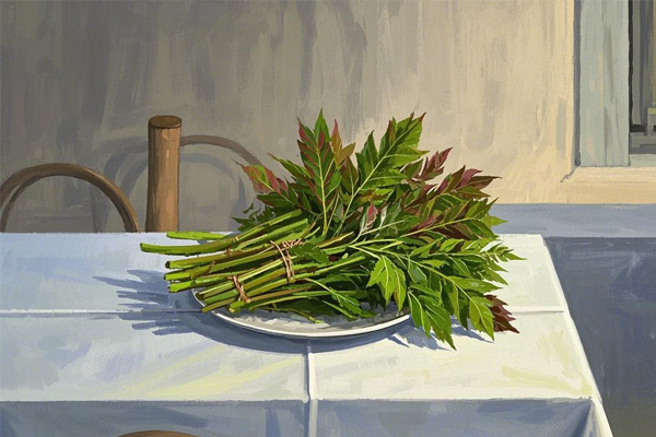 97����-����Ʒ��,Դ������