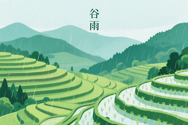 97����-����Ʒ��,Դ������