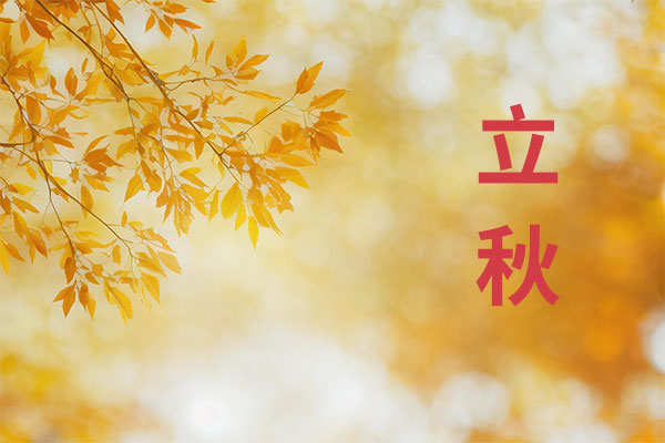 97����-����Ʒ��,Դ������